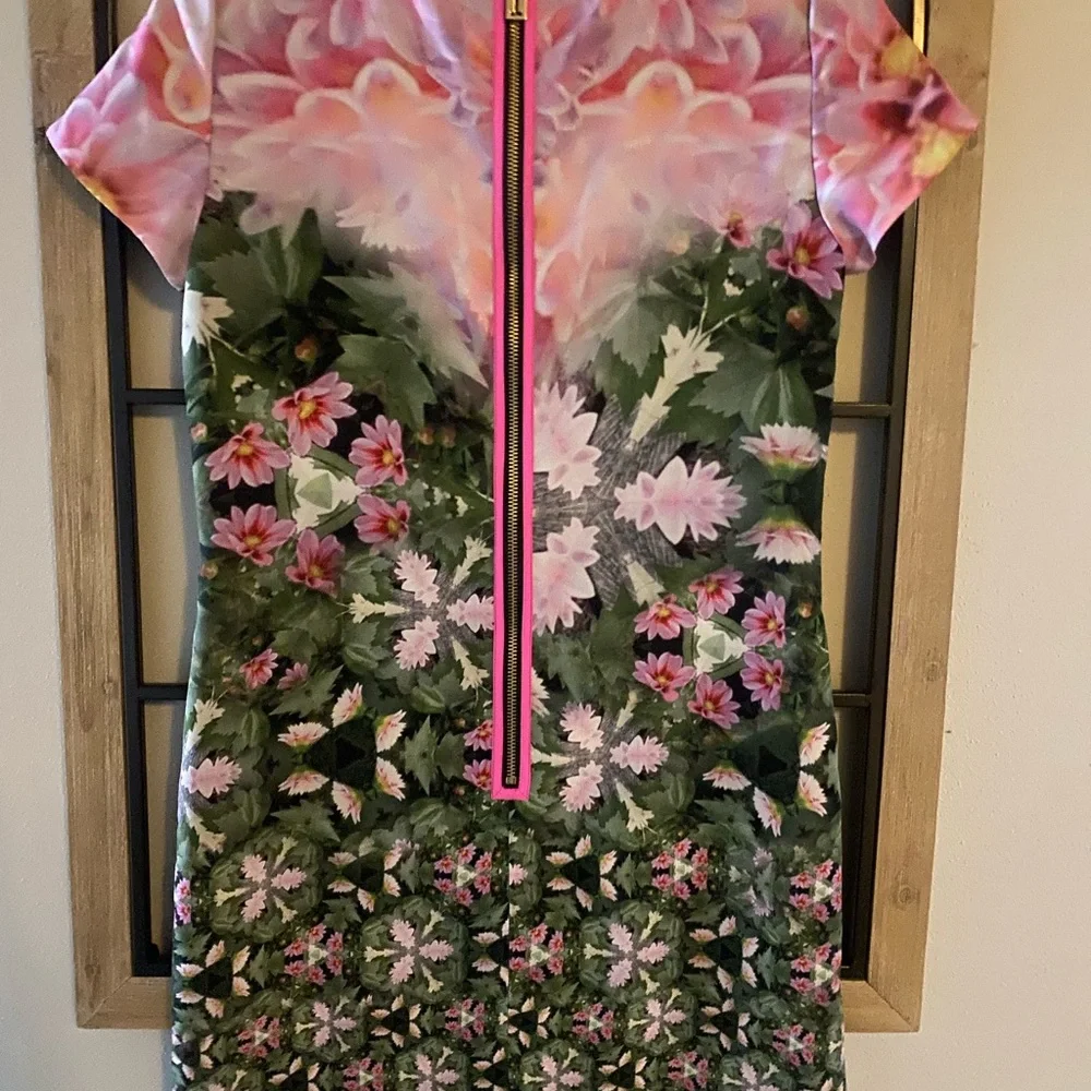 Ted Baker Floral Short Sleeve Shift Mini Eoessa Dress Size XS 0 Pink Green EUC - Picture 3 of 7